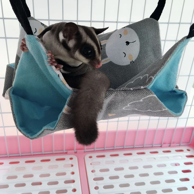 11320029055_578043734