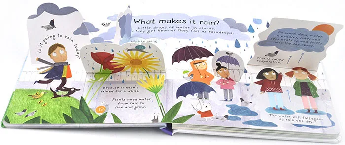 Usborne Lift the flap первые вопросы и ответы что делает это дождь английский обучающие
