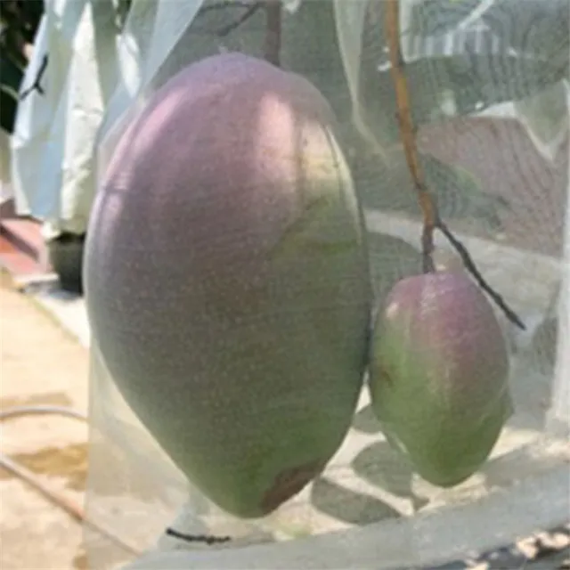 1 Darabos Védje A Növényeket Rovar Szúnyogcsípésektől Nettó Táska Szőlőfürt Virágmag Zöldségkerti Szerszám Kerti Gátfedők Takaró - Image 3