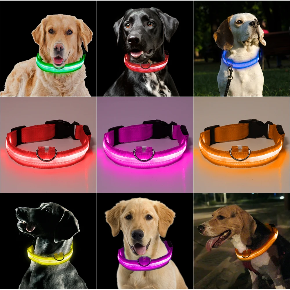 white Pet Dog Collar Challen Night Safety LED Light-up Flashing Glow in the Dark Anti-lost Gem Collar