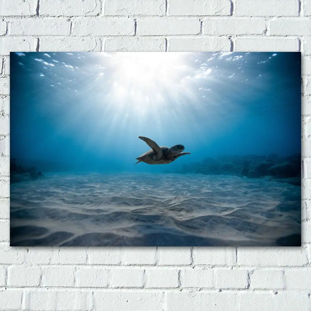Sea Life Sunbeam черепаха Подводные Животные картины с DIY рамкой настенные