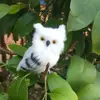 Cute Artificial Owl Lifelike Animal Owl Miniature Plush Toy Garden Ornament Photo Prop Artificial Owl Garden Decor Desktop Craft ► Photo 3/6