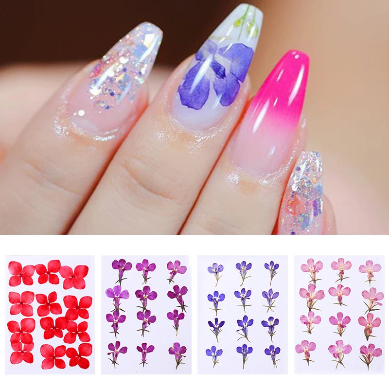 

1 Bag Dried Flowers Preserved Floral Leaf Mixed Pattern 3D Dry Hydrangea Flower Nail Art Decoration for Nails DIY Design