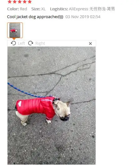 QQ截图20191222211923