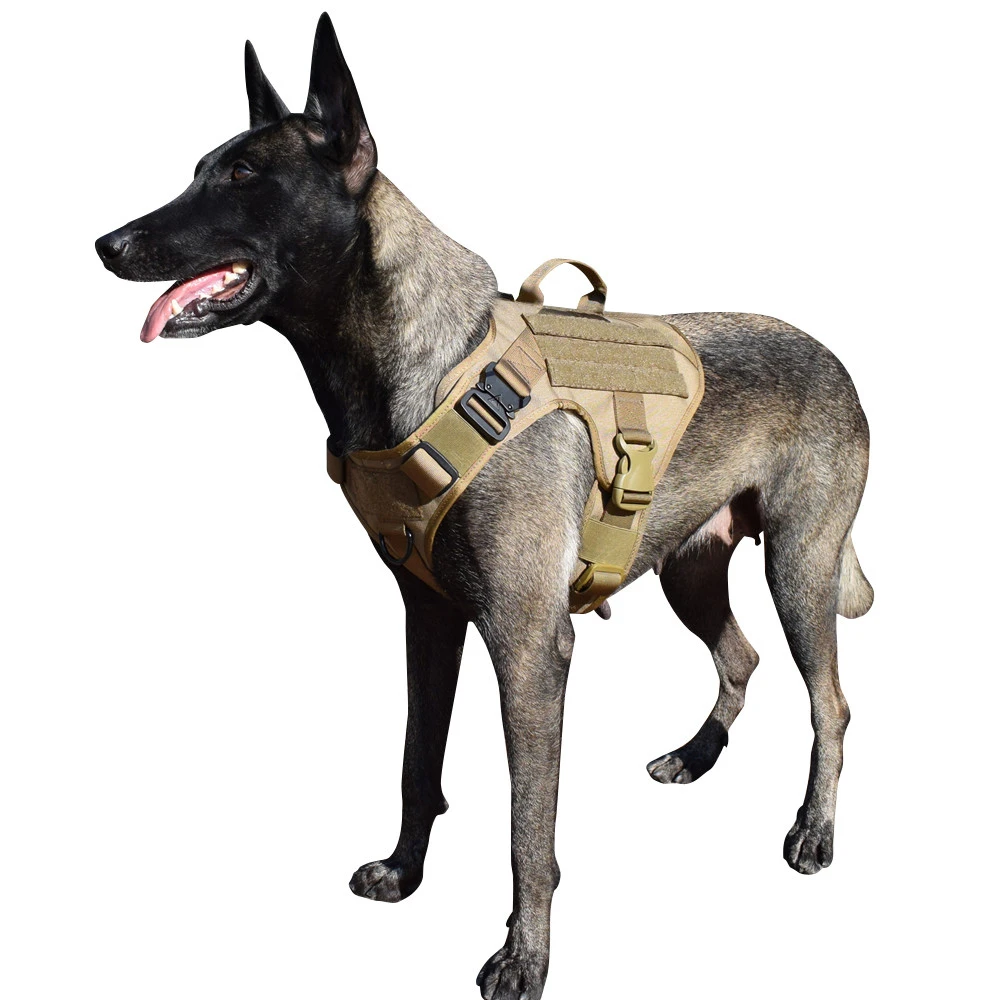 tactical dog vest