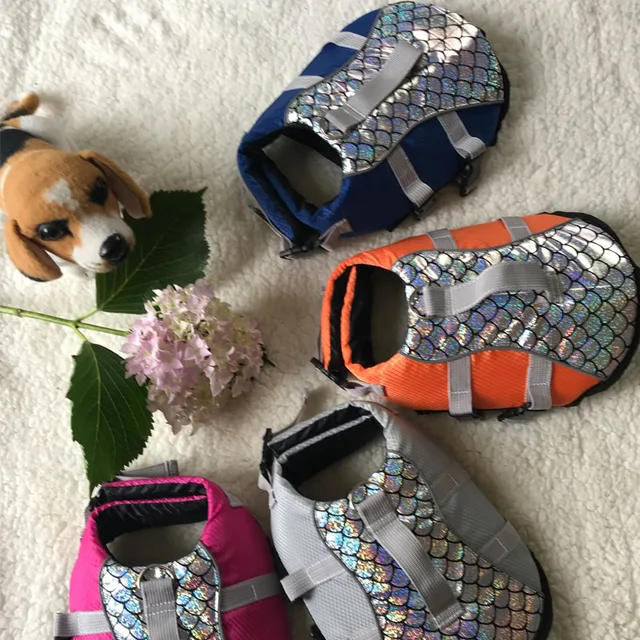 강아지의 수중 안전을 위한 필수품