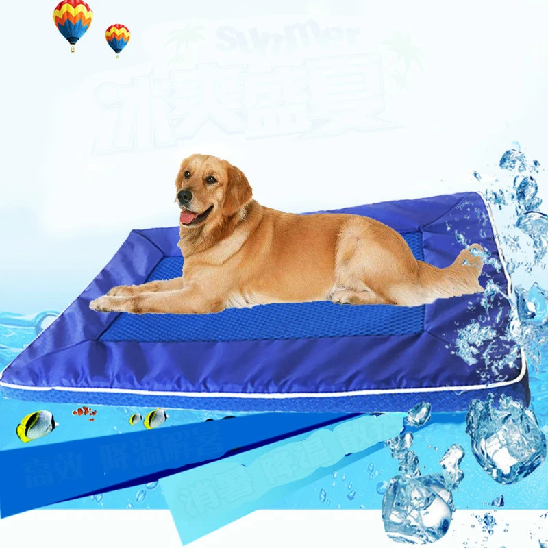 dog mattress store
