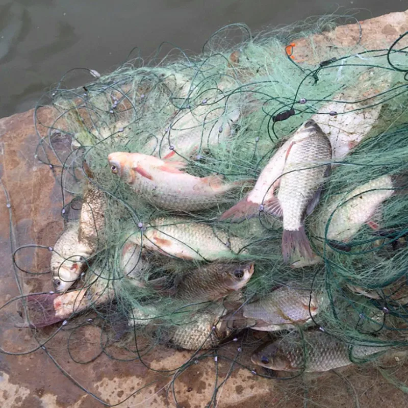 China Supplier Fishing Gill Nets Nylon Monofilament Nylon Fishing Nets  Price Free Shipping