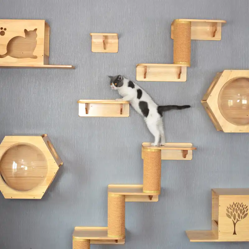 Cadre Mural D Escalade Pour Arbre A Chat Hexagone En Bois Massif Capsule Spatiale Planche A Ressort Murale Echelle De Maison Pour Chaton Mobilier Pour Animaux De Compagnie Aliexpress