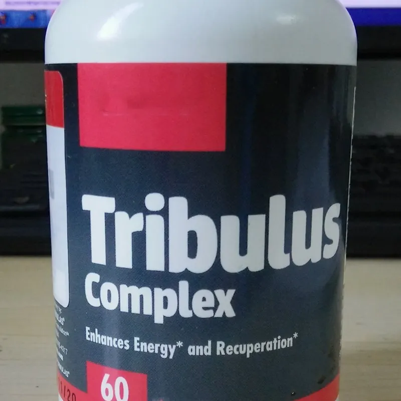 

Male hormone of Tribulus terrestris saponin, muscle building hormone