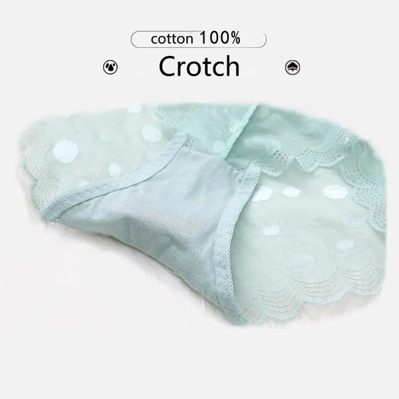 11608608224_9879018990