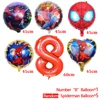 6pc Balloon random