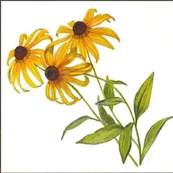 Matrices de découpe en métal 3 fleurs chrysanthème, pochoir découpé, timbres artisanaux de Scrapbooking 