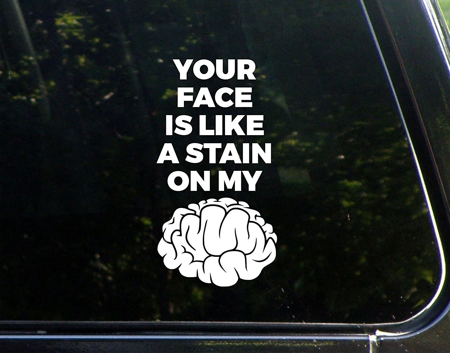 Your Face Is Like A Stain On My Brain (3-3/4" x 7") Die Cut Decal Bumper Sticker For Windows computers Trucks Laptops Etc. | Игрушки