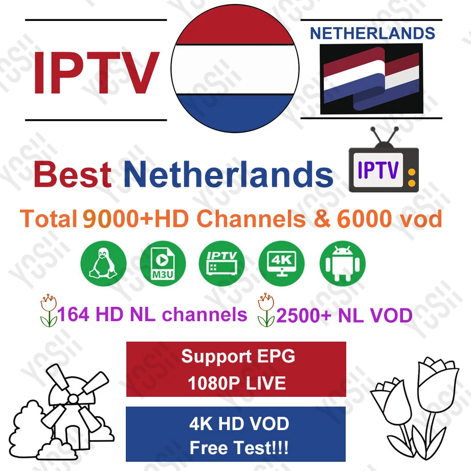 Тюнер для просмотра телеканалов Нидерландов подписка 164 + HD голландский live 2500