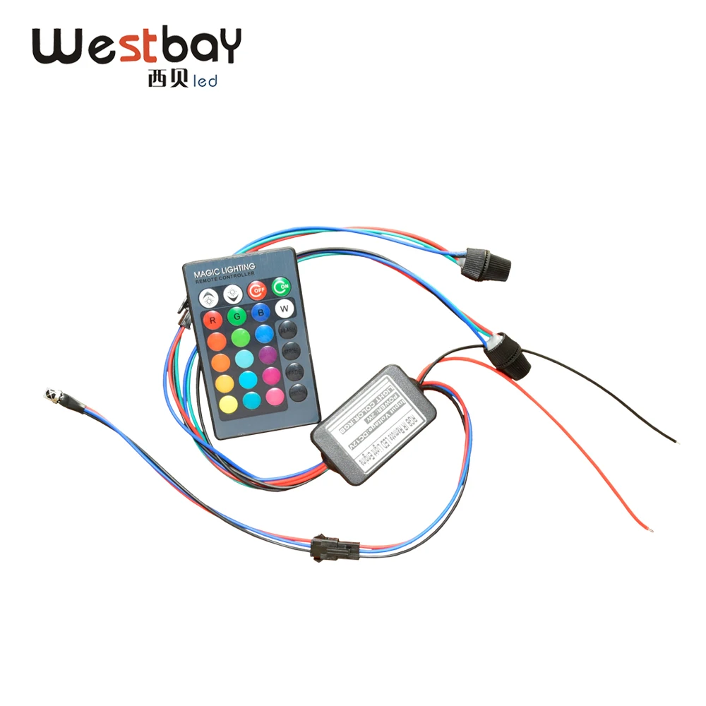 Westbay 2 Вт RGB волоконно-оптический светильник светодиодный светильник из оптического волокна регулируемый светильник для украшения автомобиля Рождество - Испускаемый цвет: Double light source