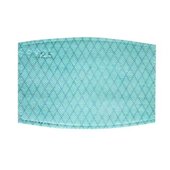 

10/50/100pcs Non-woven Masks Filters Replaceable Anti Haze Filter Durable Replaceable Anion Flu-proof Mask Filter