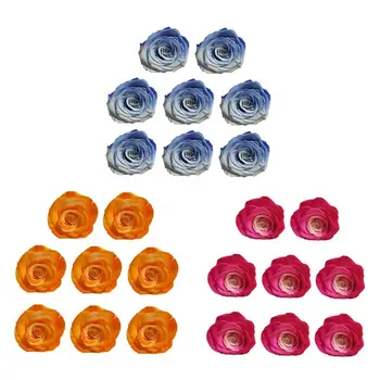 

Rose Forever Rose - Anniversary Day Gift Preserved Rose - Birthday Gift 8PCS