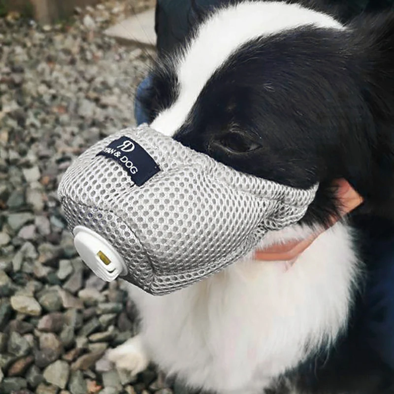 dust dog filter