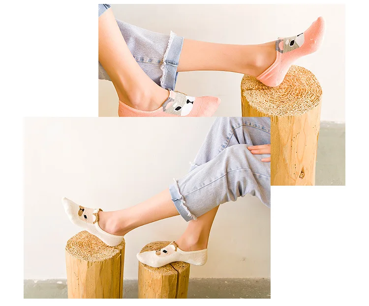 4098825623_1039761293