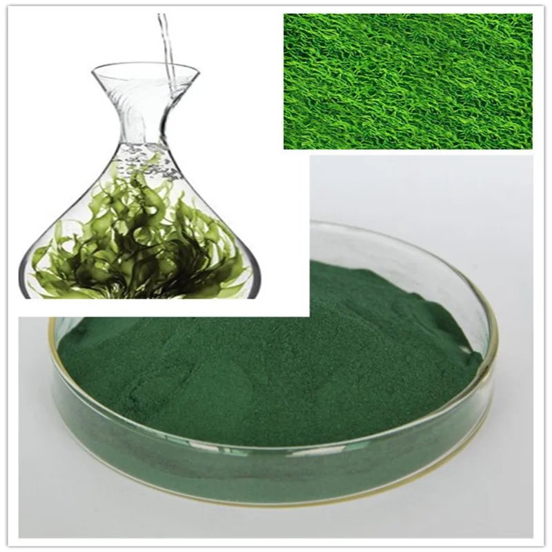

Pure Natural Spirulina for wieght loss antioxidant anti-aging