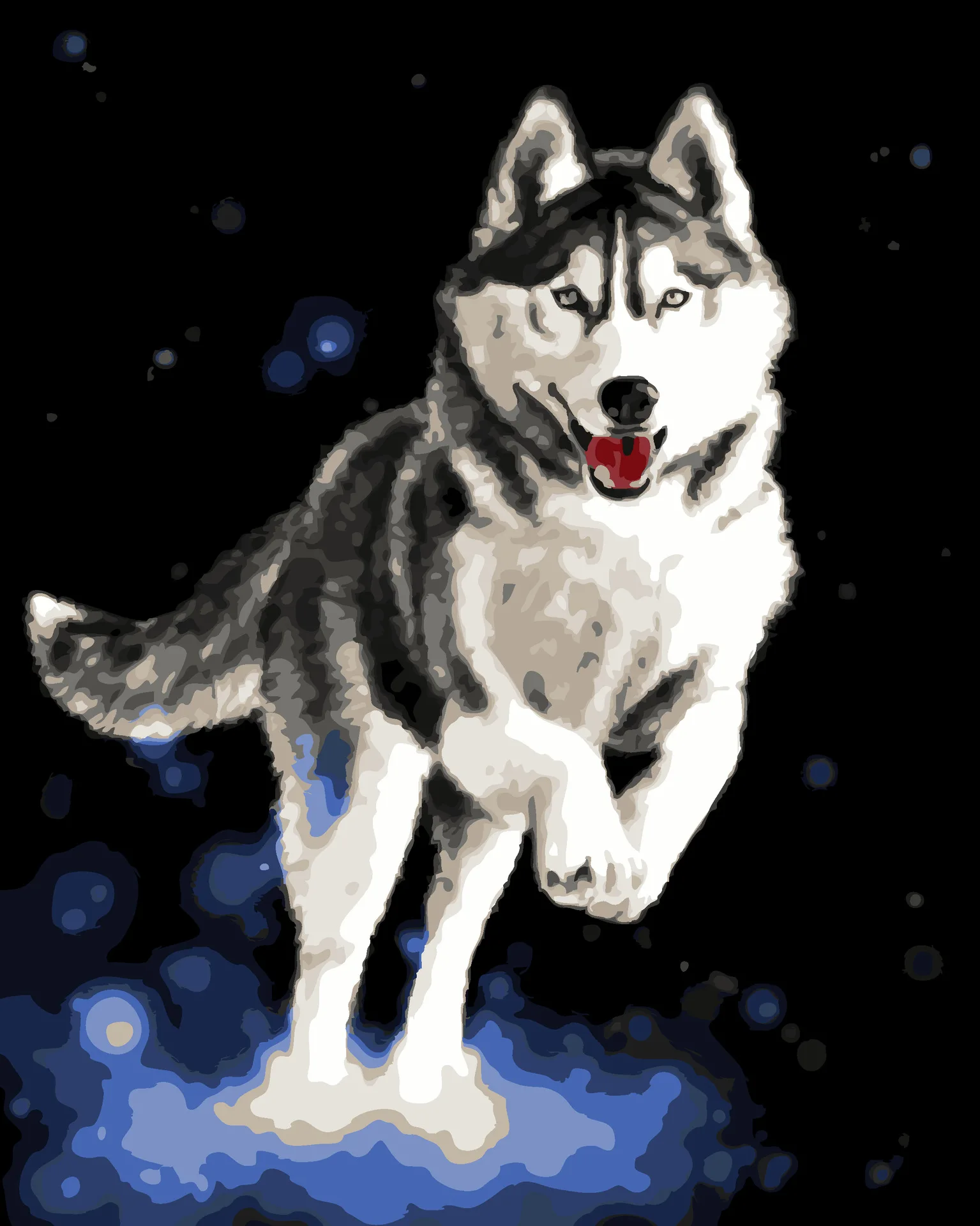 

Thick Frame DIY Digital Oil Painting Husky Significantly Animal Still Life Fill Pure Hand-Painted Decoration Painting Living Roo
