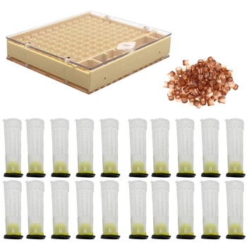 

High Quality Beekeeping Tools Equipment Set Queen Rearing System Cultivating Box Plastic Bee Cell Cups Cup Kit Queen Cage