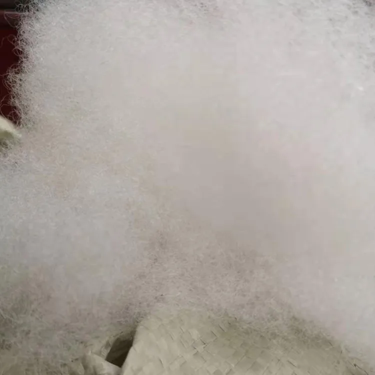 12418931999_1627843131