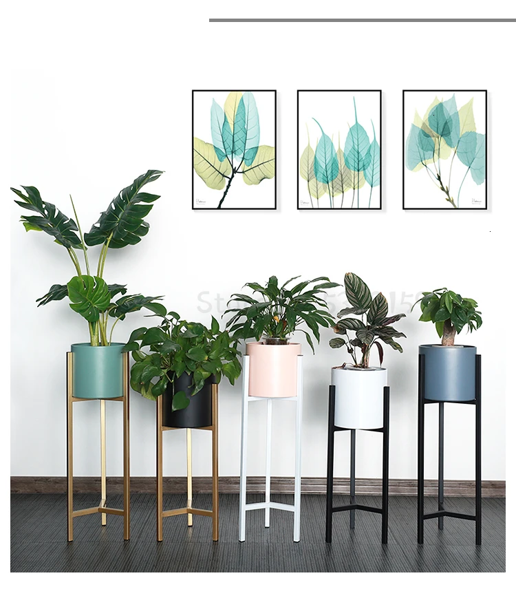 Art Flower Airs Golden Light Luxurious Wind Balcony A Living Room Indoor Landing Type Simple And Easy Green Luo Metal Shelf