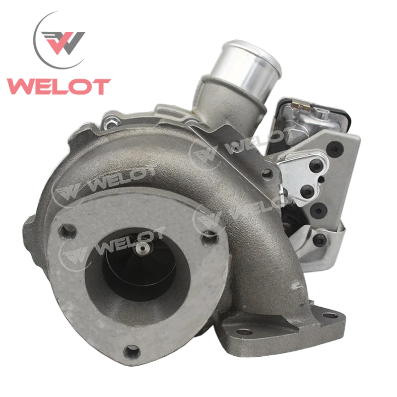 Omar Afridi 22AW GLOVES 