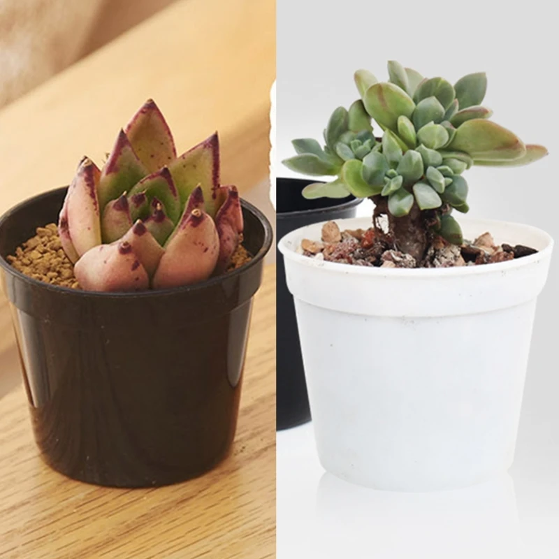G32A 10 Pcs Mini Plastic Round Flower Pot Indoor Plant Pots Drainage Minimalist White/Black Home Decor Flower Gardening Pots for flower pot hydroponic flower pot plant pot