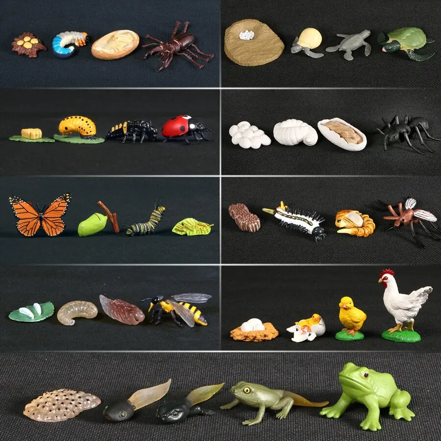 bumblebee transformer toy Simulation Animals Growth Cycle Butterfly,Ladybug,Chicken Life Cycle Figurine Plastic Models Action Figures Educational Kids Toy godzilla toys