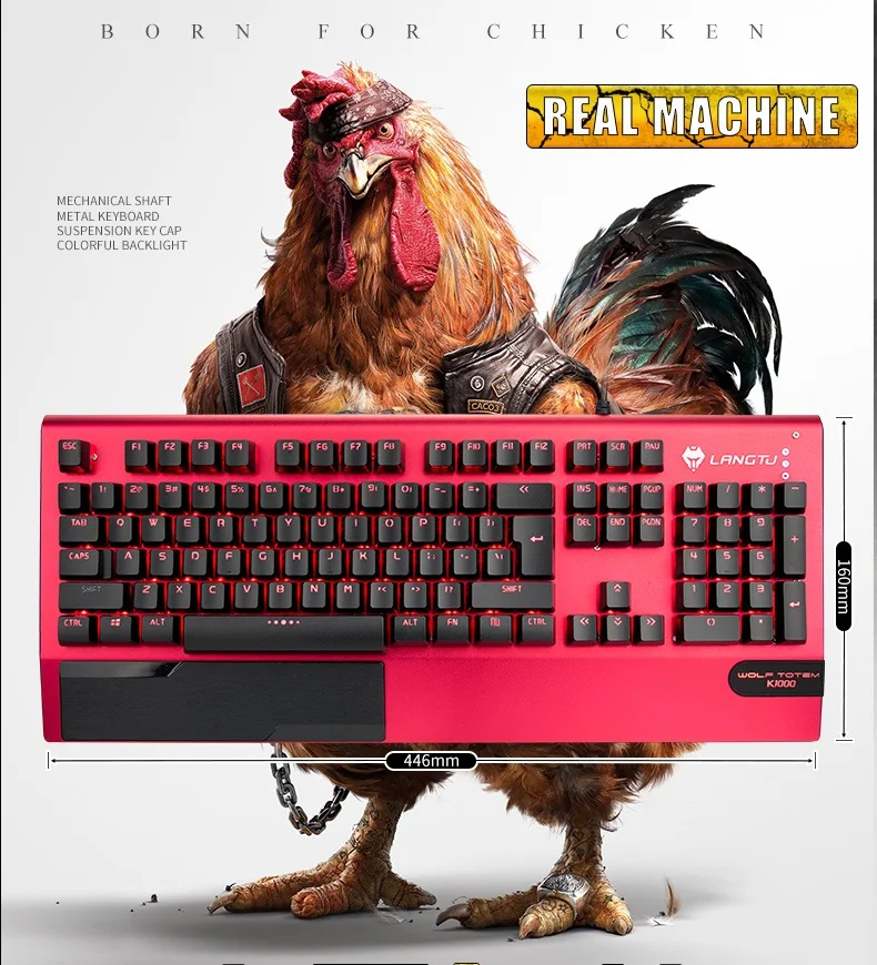 O1CN01cZpB7o1moVFghuxMy_!!2123345001