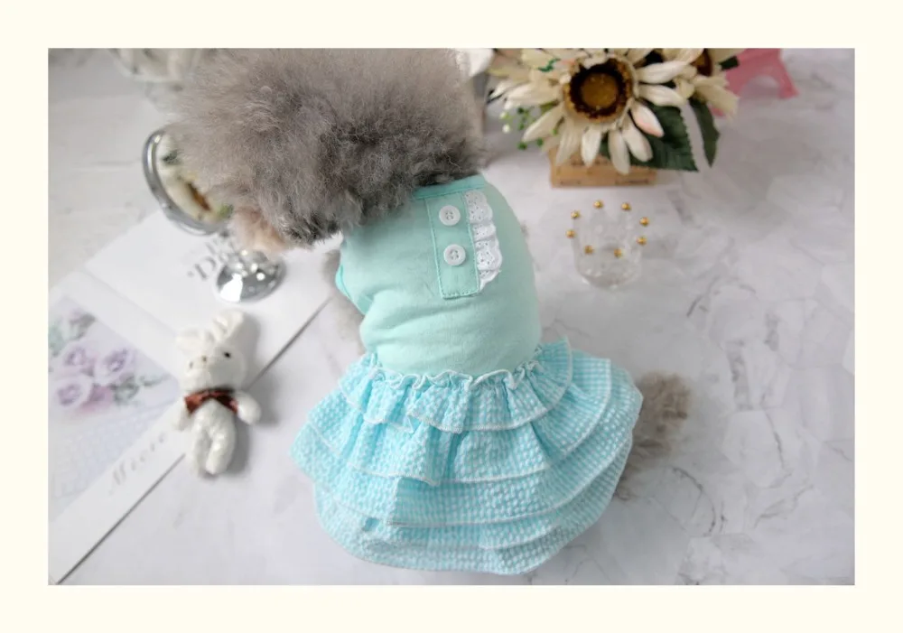 O1CN01FD1SwP219U5cmXfFj_!!323036942