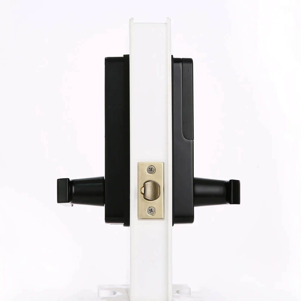 TTLOCK Airbnb арендованный дом, wifi Интернет дистанционное управление bluetooth цифровая IC карта умный дверной замок