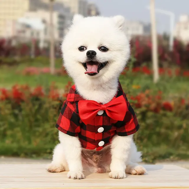 Pet Clothes Dogs Plaid Striped Shirt Suit Wedding Dress Puppy Coat Teddy Bear Pomeranian Vest Small-Medium Dog Cat Pet Costume 5
