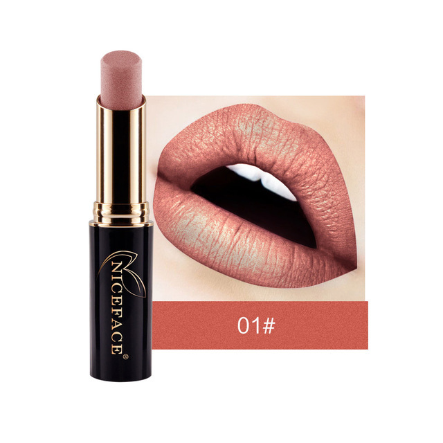 24 Colors Matte Women Lipstick Labiales Beauty Make Up Long Lasting Waterproof Metallic Lipstick Drop Shipping New Hot TSLM1