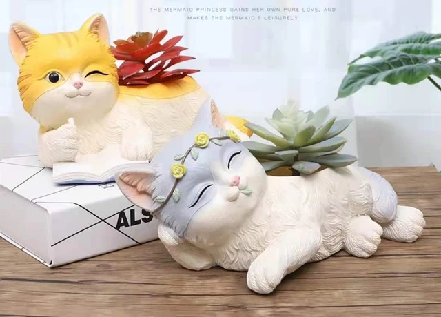 Criativo bonito cerâmica gato cauda flor pote, simples desenho animado  animal, cacto suculento, personalidade - AliExpress