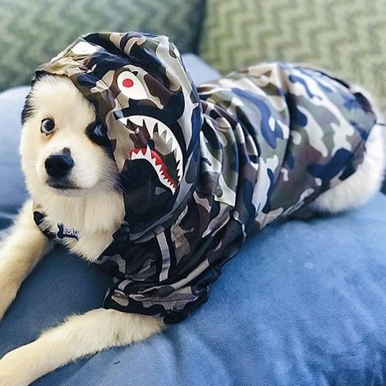 Одежда для собак Adidog камуфляж Французский бульдог Pupreme Рубашка Собака Камуфляж