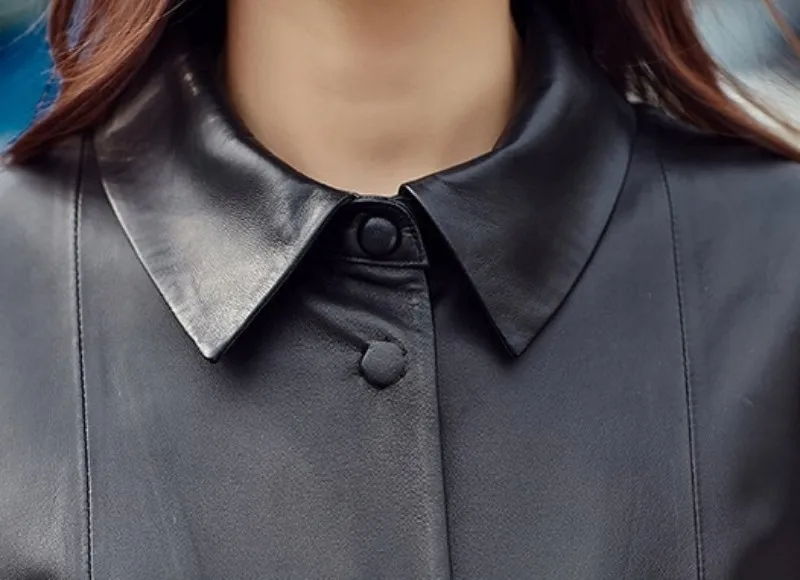 conew_2772159793_1099745379_conew1