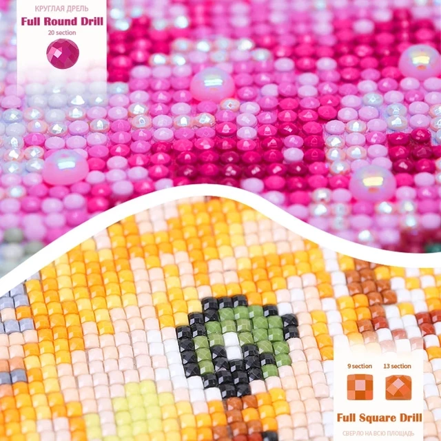 Photo personnalisée bricolage diamant rond complet peinture animale pour adulte strass chat photos Kit complet décor à la maison 6