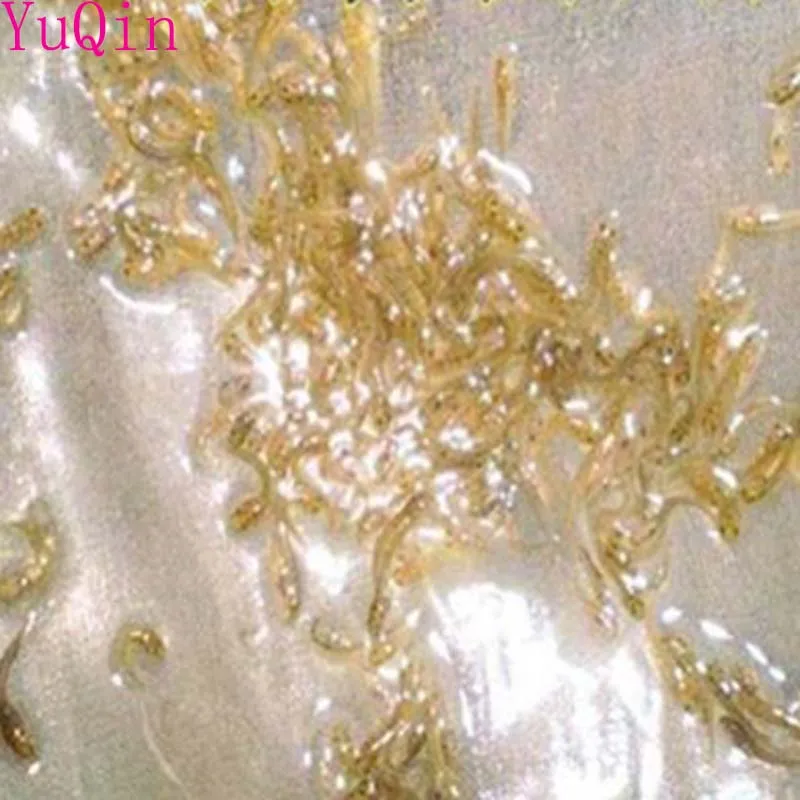U-shaped outlet 100mesh Anti-escape Fish Culture Breeding Net Cage Fry Fish for spawning cage fish eggs