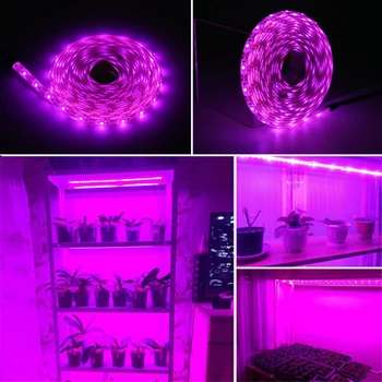 

DC5V Grow Light LED Full Spectrum Waterproof Strip Light Plant Growing
