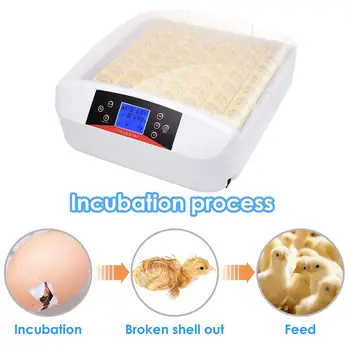 

56 Chicken Duck Eggs Incubator Hatcher Fully Automatic Turning LED light Digital Turning w/Candler Light Temperature Control