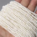NO.1 Natural Shell