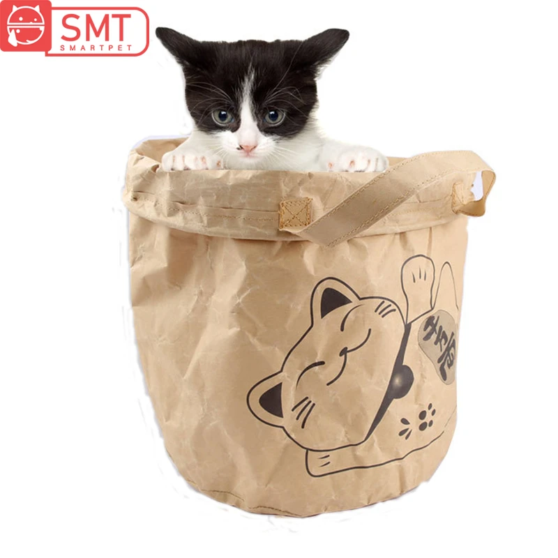 toy cat and carrier