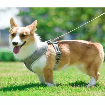 

Dog Pet Supplies Harness Adjustable Reflective Polyester Mesh Vest Chest Strap Breathable Small Dog Leash Dog Collar