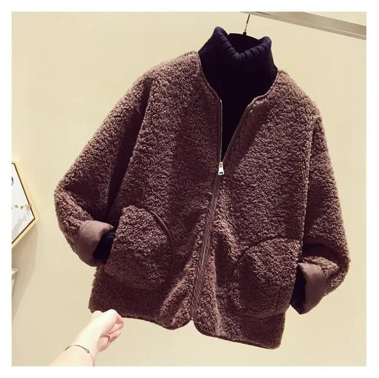 Пальто с мехом ягненка, новинка, зимняя уличная одежда, Свободное пальто с круглым вырезом, длинным рукавом, карманами, плюшевое бархатное плотное пальто размера плюс - Color: Dark Brown