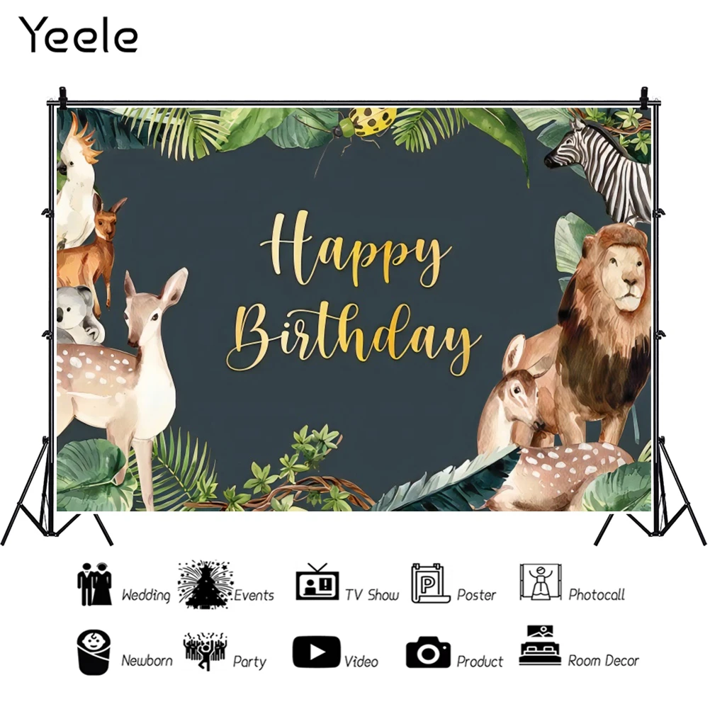 Yeele   Photocall Ƽ  ̺        Ʃ Կ