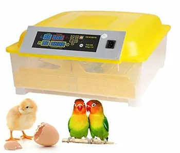 

New 48 Egg Incubator Digital Automatic Poultry Hatcher Egg Turning Chicken Duck
